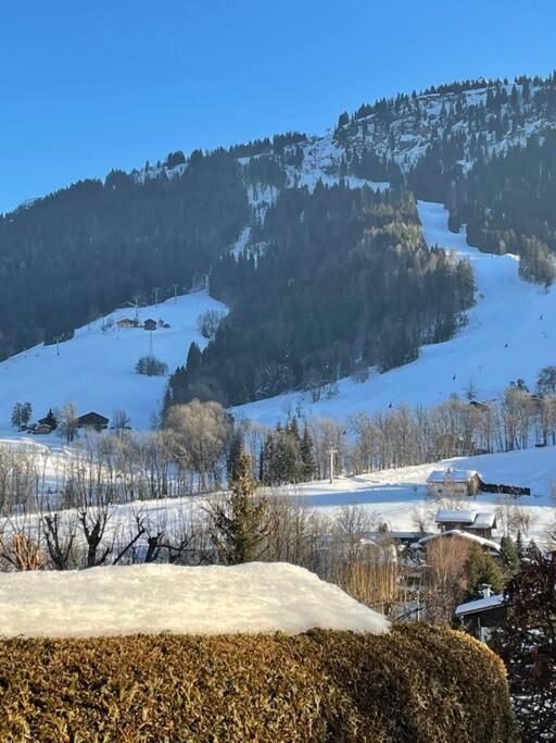 Charmant Studio + Jardin Vue Pistes Et Local Velo Праз-сюр-Арли Екстериор снимка